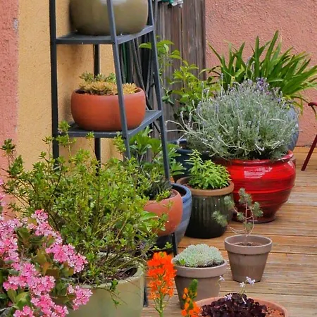 Privee, Salon Et Terrasse Chez L'habitant Dans Une Maison De Village De Charme * Passa